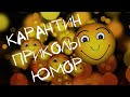 Карантин приколы, шутки, юмор. Смейся от души.😀😀😀