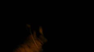 MVI_6485.AVI