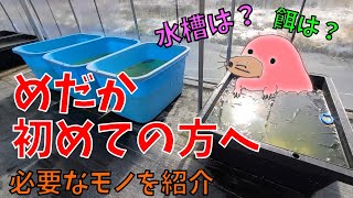 メダカの飼育に必要なものをまとめました。