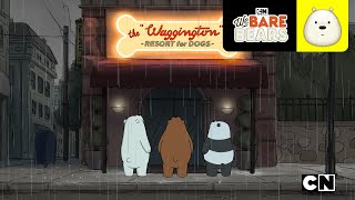 Hotel para perros | Escandalosos | Cartoon Network