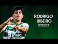 Rodrigo ribeiro  special talent   best skills 2023