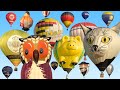 Hot Air Balloon Mass Ascent Balloon Festival Barnstorf 2019 