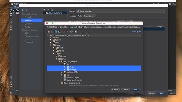 Java parking lot application with Berkeley DB in IntelliJ IDEA