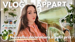 VLOG APPART 🏠 ⦁  NOUVEAUX MEUBLES, DECO & PLANTES DANS L'APPART