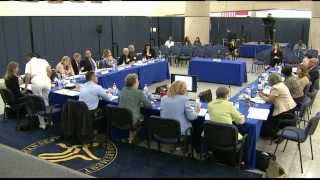 CFSAC 2014 Spring Meeting: Committee Discussion/Open Forum