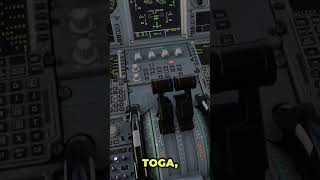 Come fare i callout reali su A320 (MSFS24)