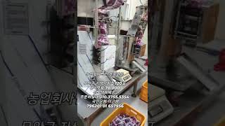 #무안군 #무안군 햇양파즙 건강식품찐하게짜서 판매합니다 해썹(HACCP) 깨끗하고 깔끔한시설에서짜고 인증을받습니다무안자색양파즙120포 70000무안양배추즙 120포