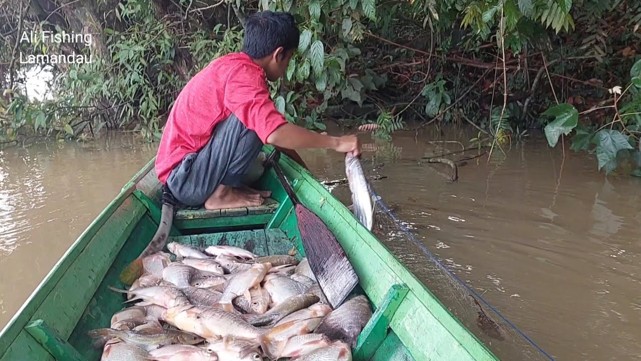 SAAT AIR SUNGAI NAIK DAN KERUH BANYAK JARING IKAN KAMI YANG TENGGELAM