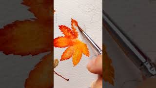 Watercolor Japanese Maple leaf