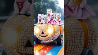 Cute Cats Cartoon Fun A Ram Sam Sam