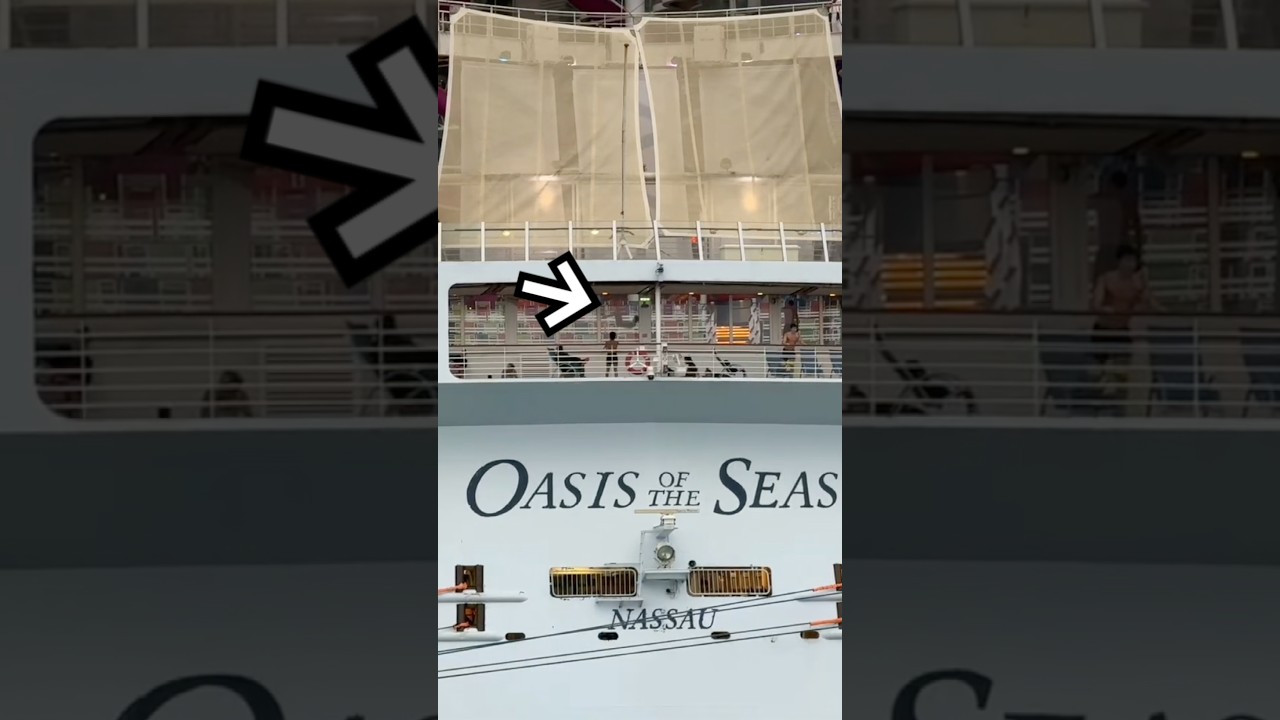Why Are They Bouncing Like That?! 😂 Oasis of the Seas in Port Canaveral