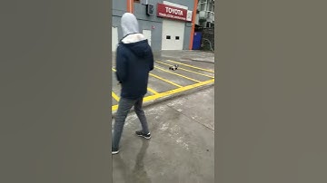 Ansmann racing virüs 2.0 90km/h big block 2.1