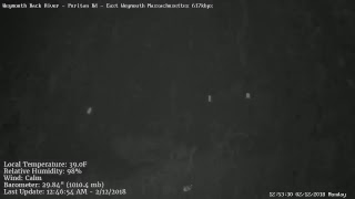 CHRISTOPHER TROTT Live Stream
