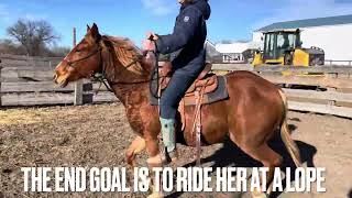 First ride on Wind Song by Dagley Ranch 908 views 4 months ago 10 minutes, 21 seconds