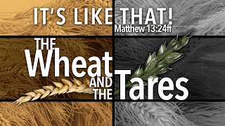 The Wheat And The Tares – Series: It’s Like That! – 11/6/22
