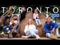 Our first time in Toronto Zoo - Canada travel VLOG