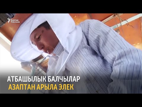 Video: Фестивалды кантип өткөрүү керек