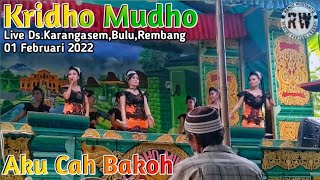 (AKU CAH BAKOH) TAMANSARI KRIDHO MUDHO DS.KARANGASEM BULU REMBANG 01 FEB 2022.