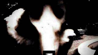 PROCEED - VISION [TAR17]