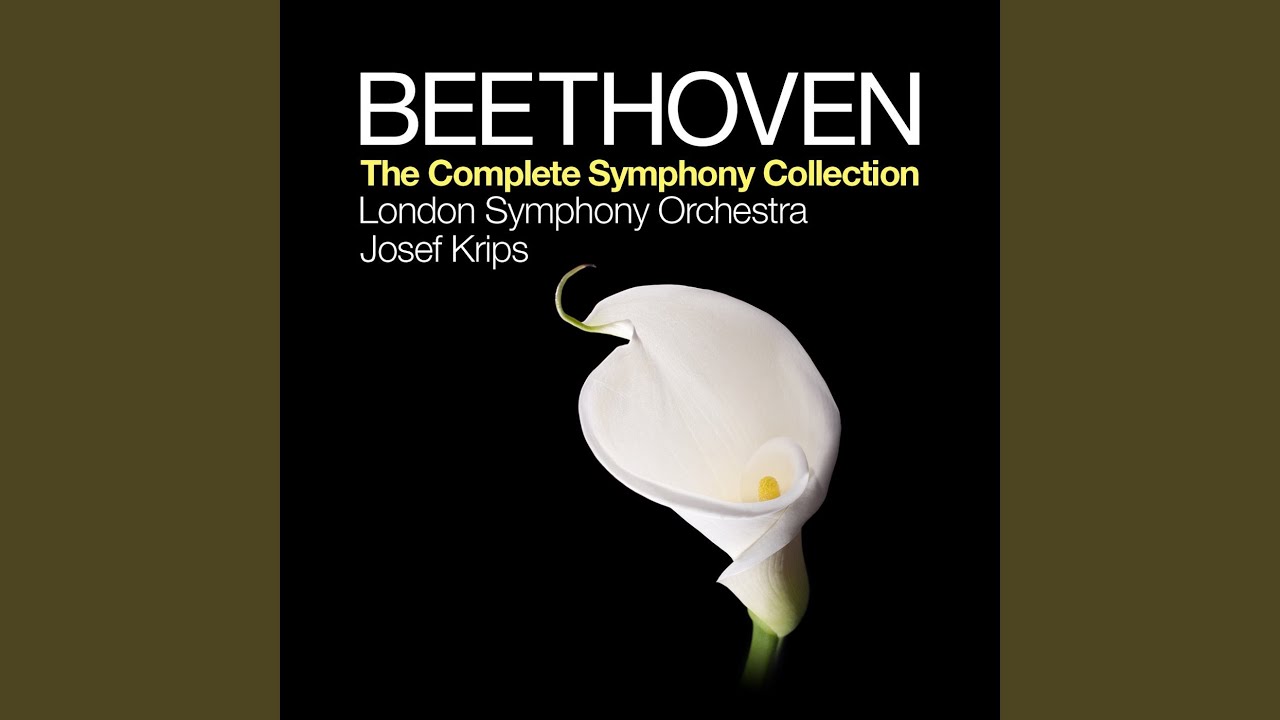 YouTubeでSymphony No. 8 in F Major, Op. 93: IV. Allegro vivaceを視聴