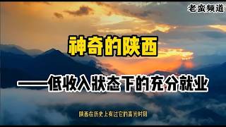 【老蛮频道】陕西的辉煌与衰落！不爱外出打工的陕西人靠什么活？神奇的陕西——低收入状态下的充分就业！#老蛮 #老蛮被抓 #老蛮频道 #失业潮 #通胀潮 #地方债 #青年失业率 #货币贬值 #就业率