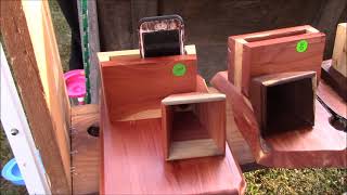 War Eagle Fair- Fall Arts and Crafts - 2017
