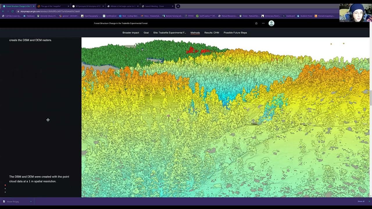 Forest Structure Change in the Teakettle Experimental Forest YouTube