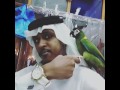 ملك البغبغاء   