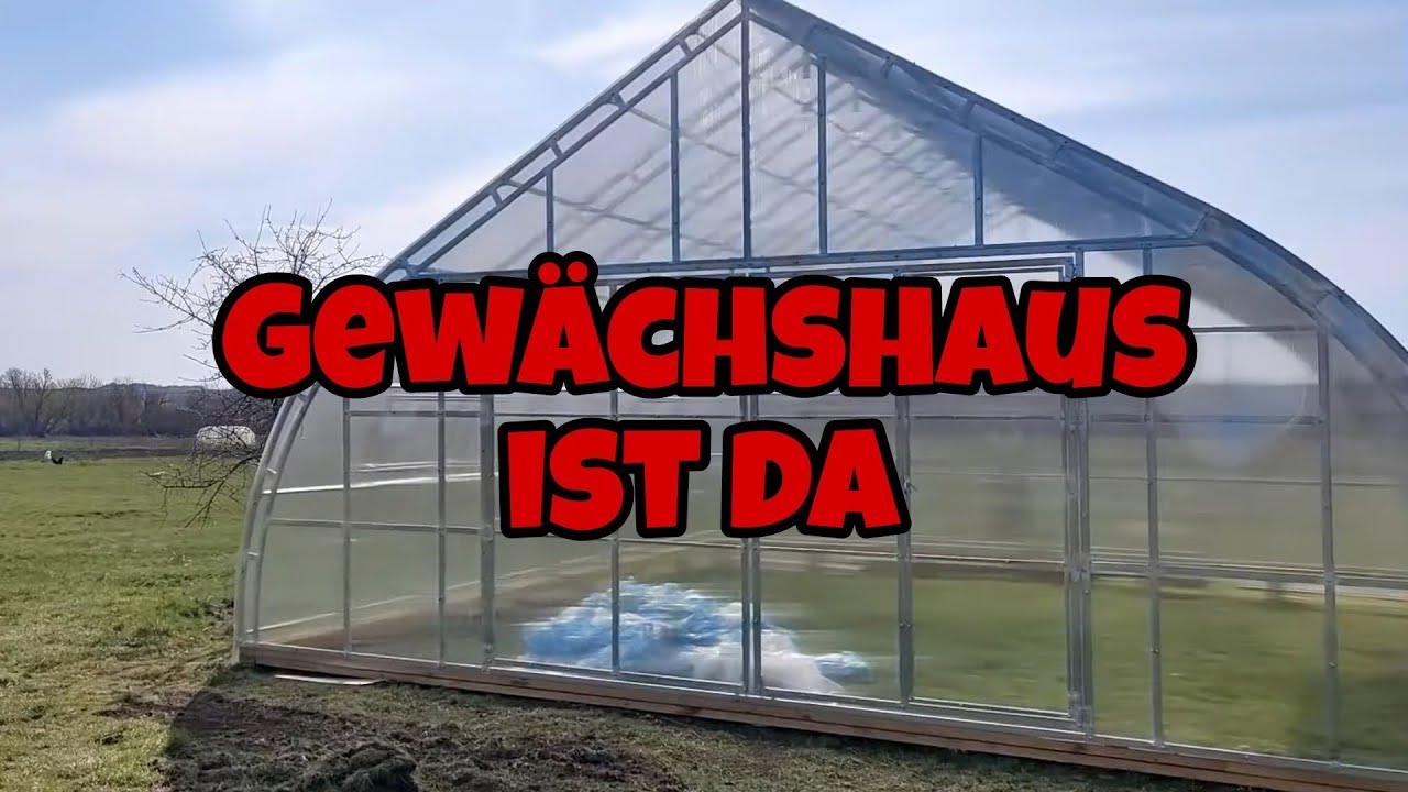 Das Gewächshaus ist da, Feld mit Motorblock bearbeiten #21