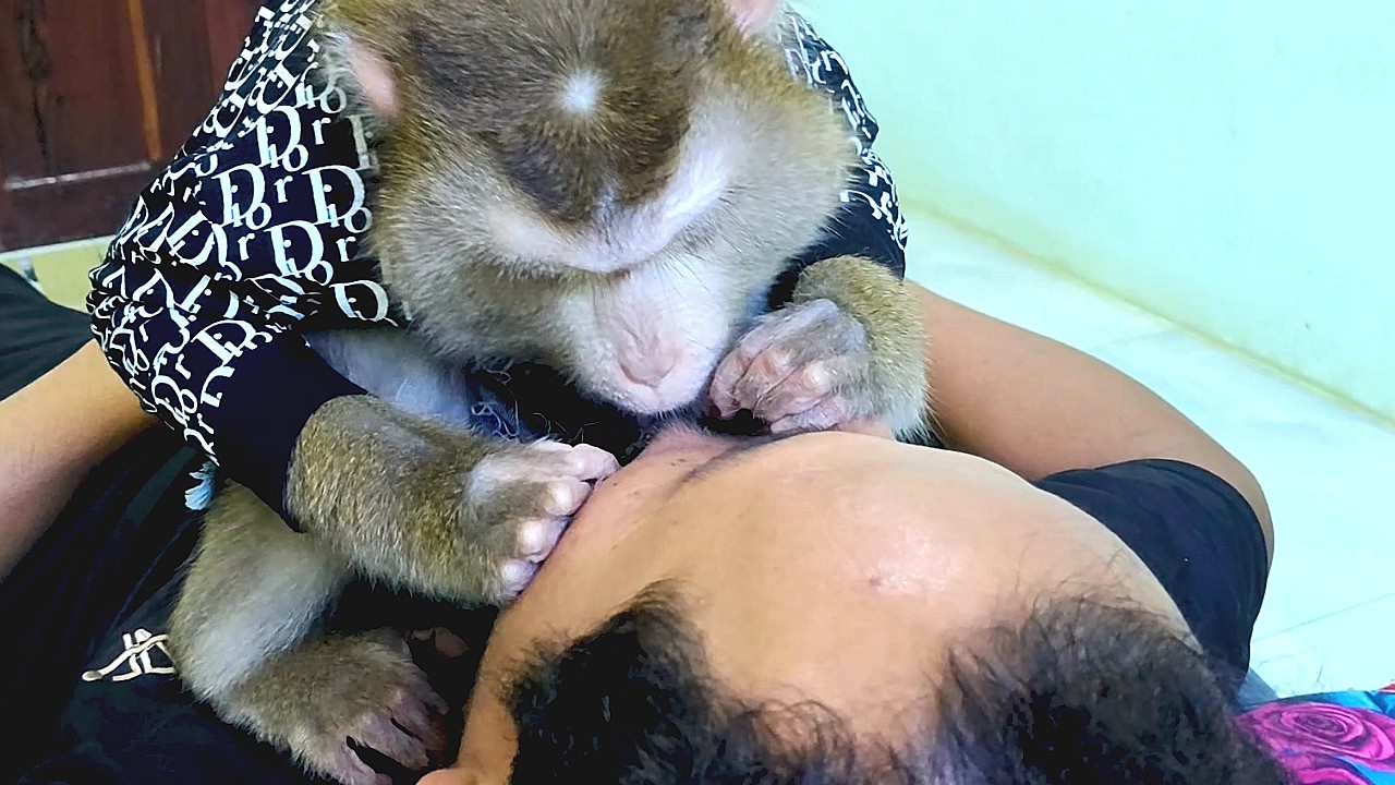 ASMR Deep Tingles, Monkey Grooming Real For Human Need Sleep Deeply Satisfying