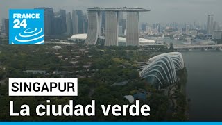 Singapur: moldeando la ciudad verde del futuro • FRANCE 24 Español