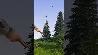 Voyou - Les oiseaux (Visualizer)