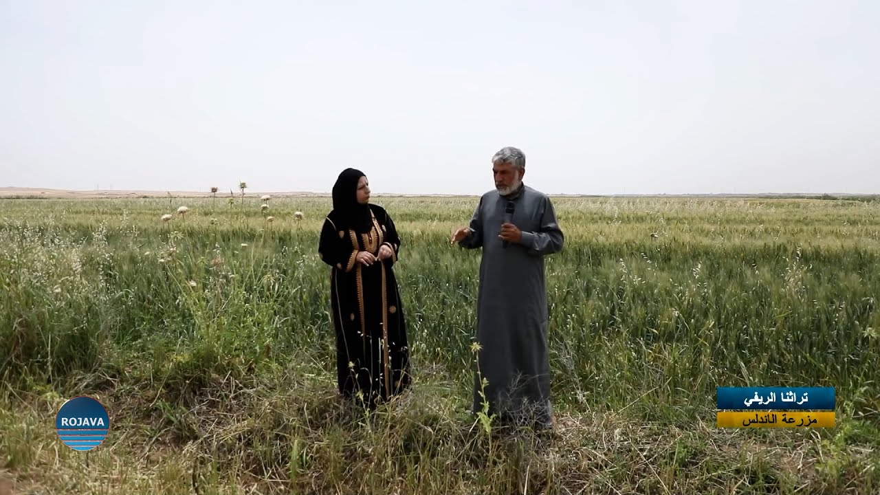 تراثنا الريفي// مزرعة الاندلس // 23-5-2025