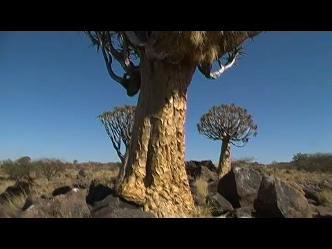Namibia - Luderitz - Kolmanskop Ghost Town - CampX4 travel Africa