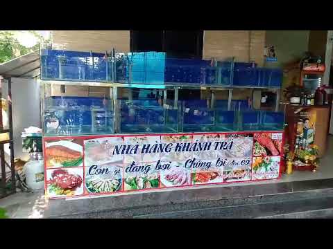 nhà hàng nghi xuân 2022 New BỂ HẢI SẢN TẠI NHÀ HÀNG KHÁNH TRÀ , THỊ TRẤN NGHI XUÂN, HÀ TĨNH
