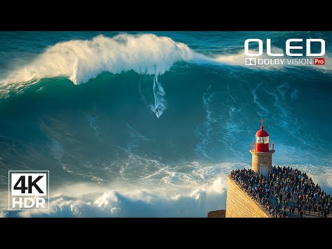 Craziest Scenes 8K 4K Video TV Dolby Vision In Stunning 4K HDR 60fps 