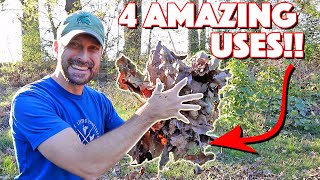 How To Use Fallen Leaves In Garden And Homestead! 4 Amazing Ways To Use Them!