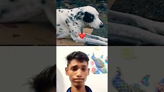 Try not to cry (SACRIFICE for DOG) 💔 #dog #emotional #sad #sadstatus #shorts