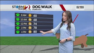 Storm Team 2 Forecast