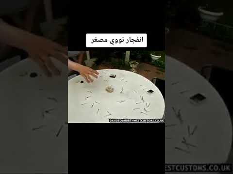 فيديو: هل اختبار البيليس والسلاح على الحيوانات؟