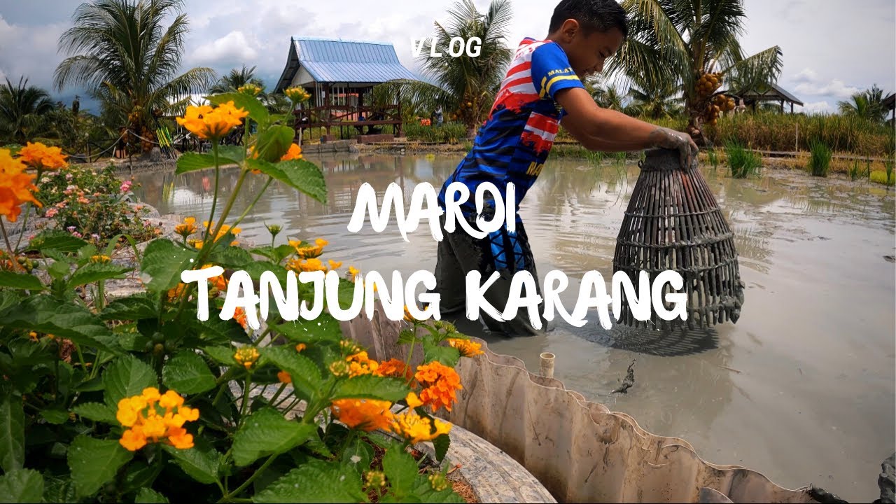 Menggagau Ikan | Bersampan | Menanam Padi | Memancing | XTVT  Lain Dengan Anak2 Mardi Tanjung Karang