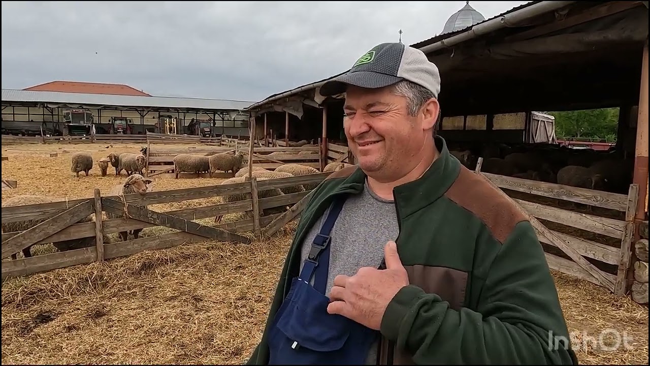 Ferma de Oi Țigai Rugini a DL Nichifor Lăscău din Luncani.Cj .A 3 a generație de crescători Oi