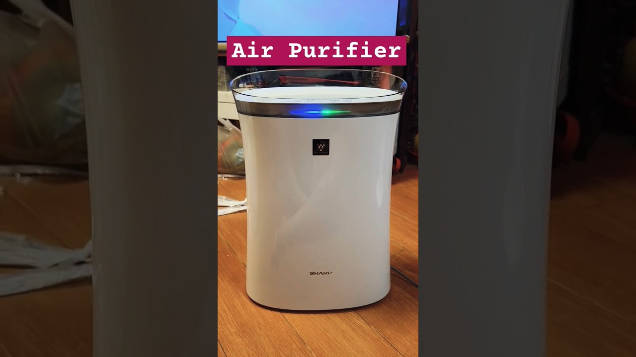 Sharp air 2024 purifier fpf40lw