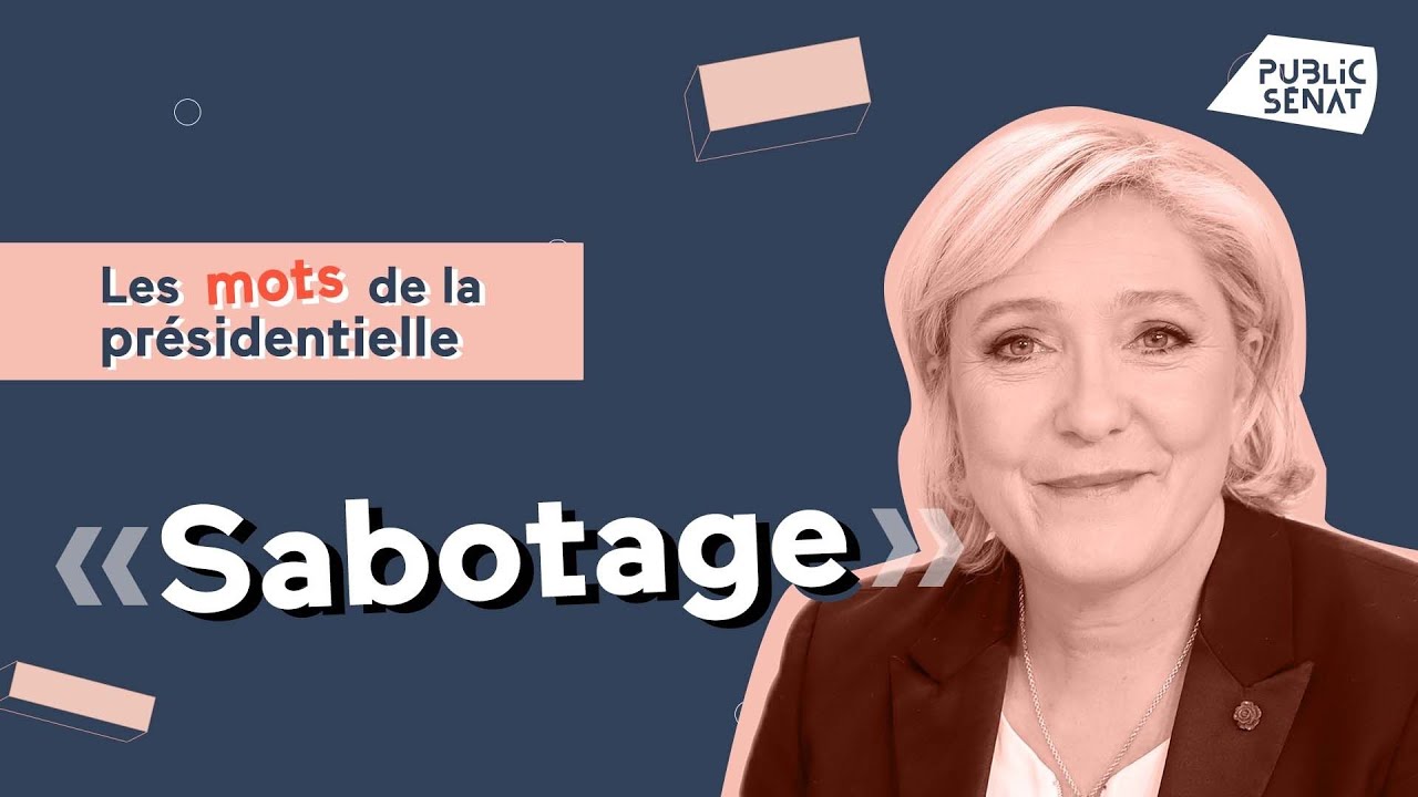 Marine Le Pen et Nicolas Bay, une histoire de « sabotage » (Les mots de la présidentielle)