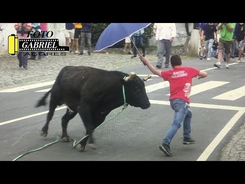 Tourada à corda na Canada de Belém, 27 de maio de 2019