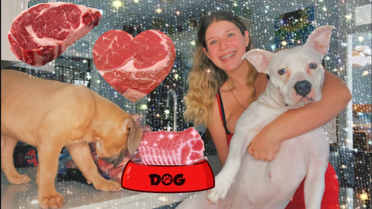  Raw Diet Meat Prep For Dogs - YouTube