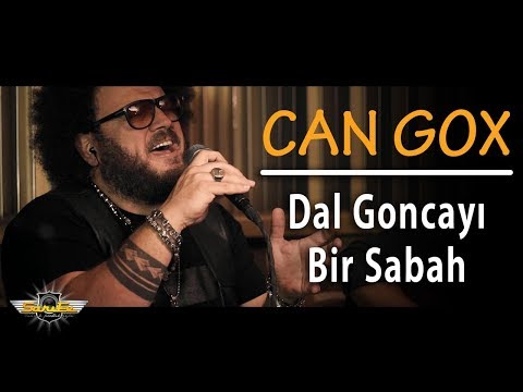 Can Gox - Dal Goncayı Bir Sabah (Akustik)