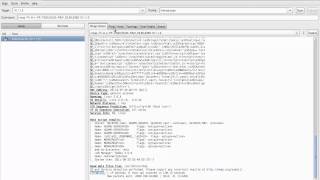 Zenmap Usage