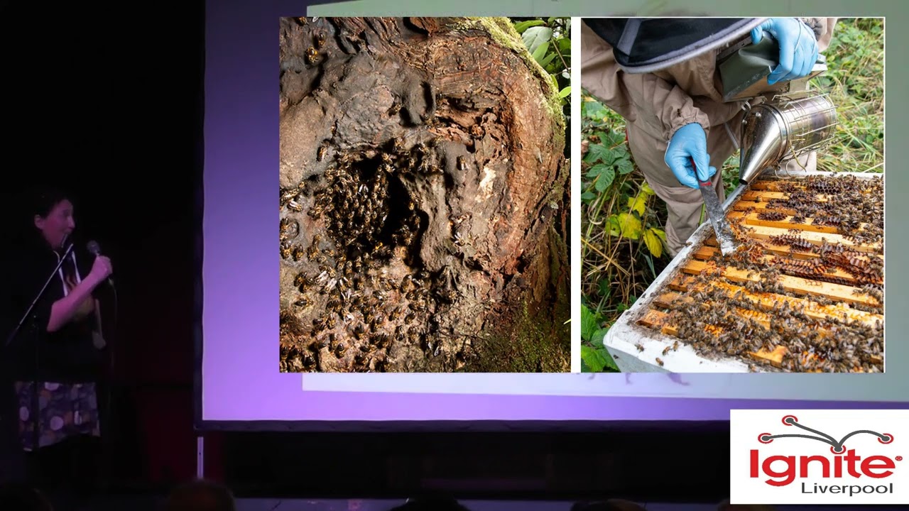 All about bees and a bit more about Honeybees - Andrea Ku