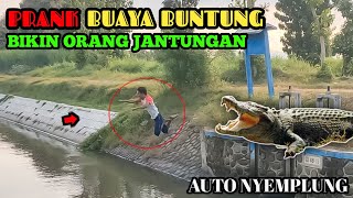 Prank Buaya Paling Extreme || Paling Lucu Auto Nyebur || 💯% Bikin Ngakak 🤣🤣